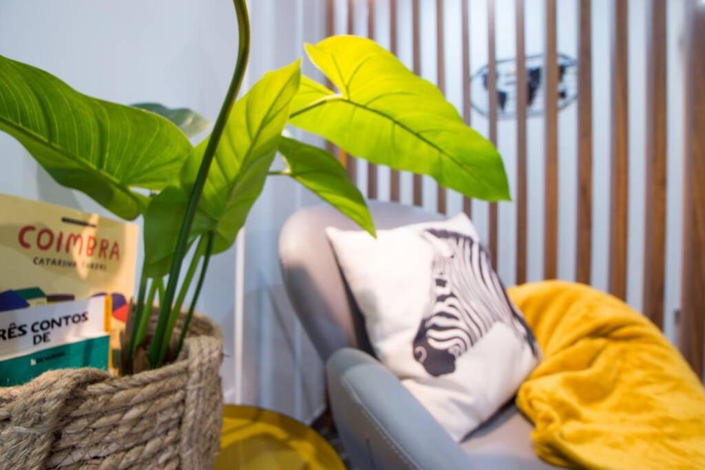 Modern Apartment In Coimbra City Center Luaran gambar